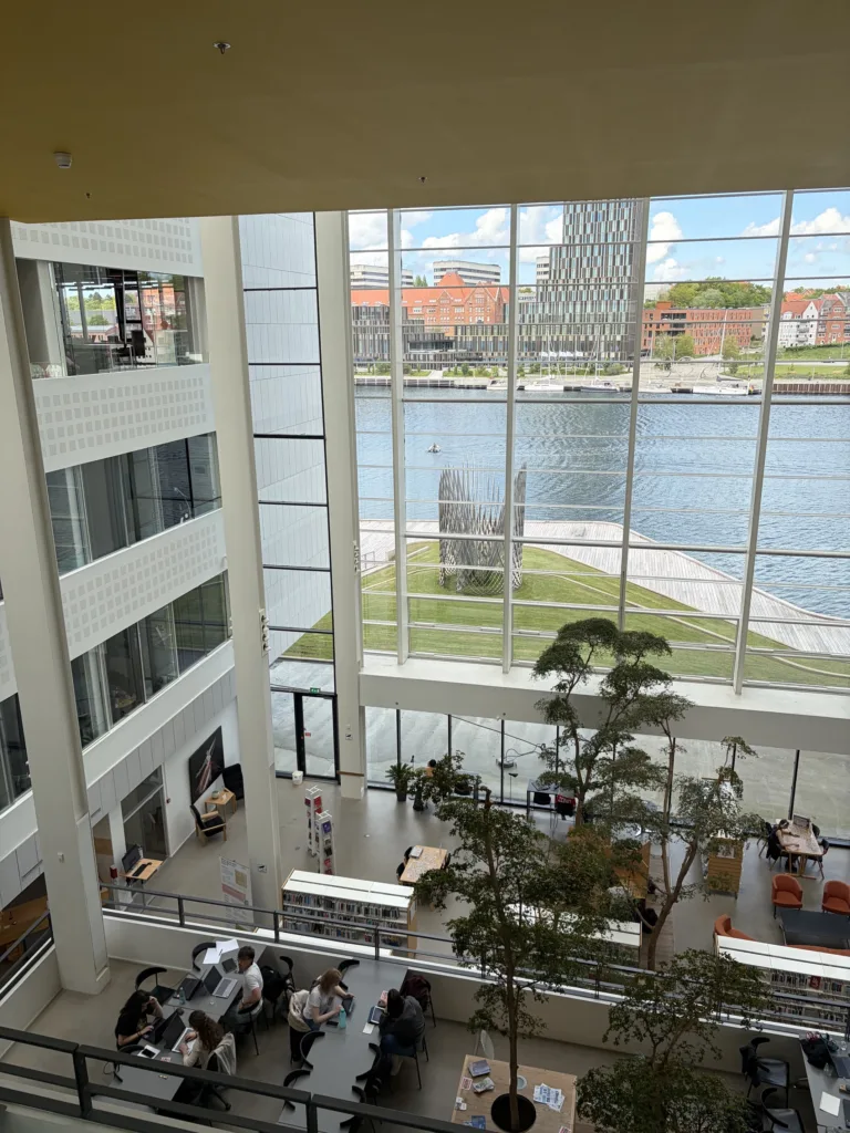Kampus University of Southern Denmark, Dánsko