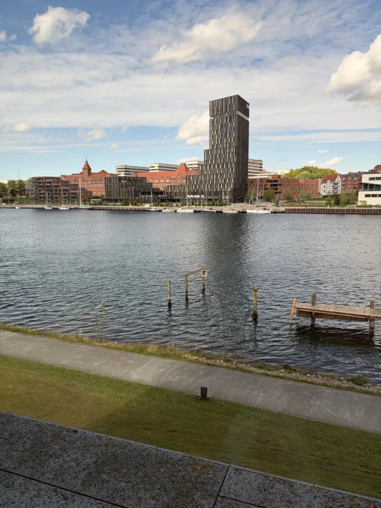 Študenti na University of Southern Denmark, Dánsko